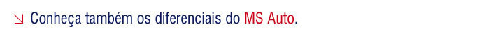 Conheça também os diferenciais do MS Auto