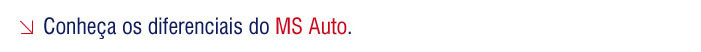 Conheça os diferenciais do MS Auto